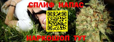 ешки Обнинск